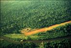 Airstrip Kabalebo 22 sept.1968